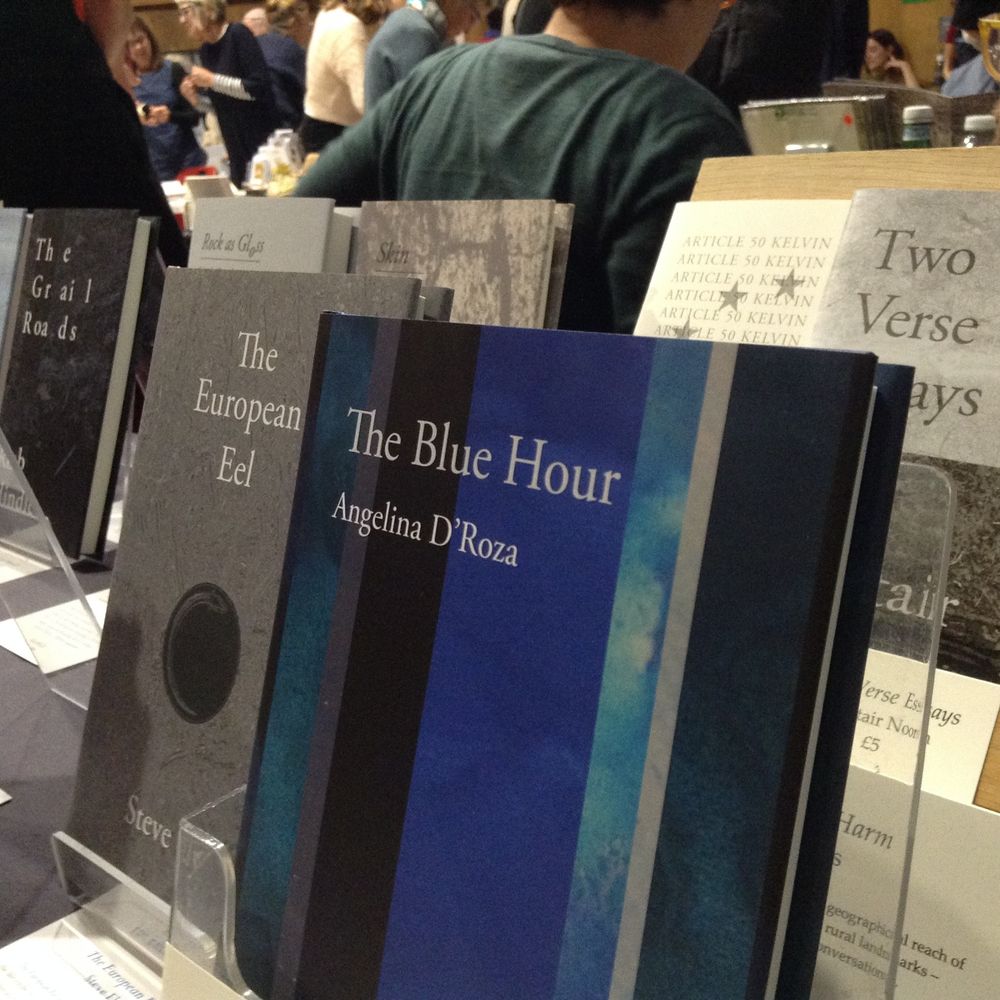 'The Blue Hour' by Angelina D'Roza