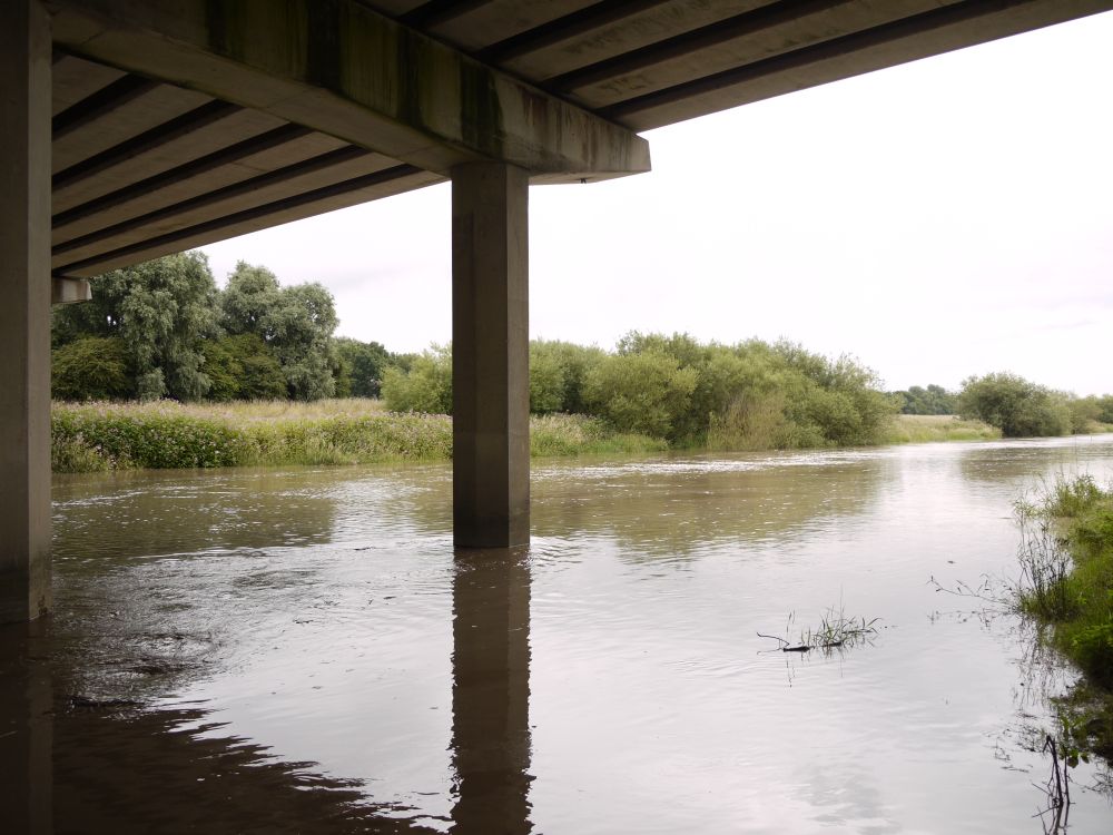 The underside of the motorway bridge over the Dutch River, looking east towards Rawcliffe.