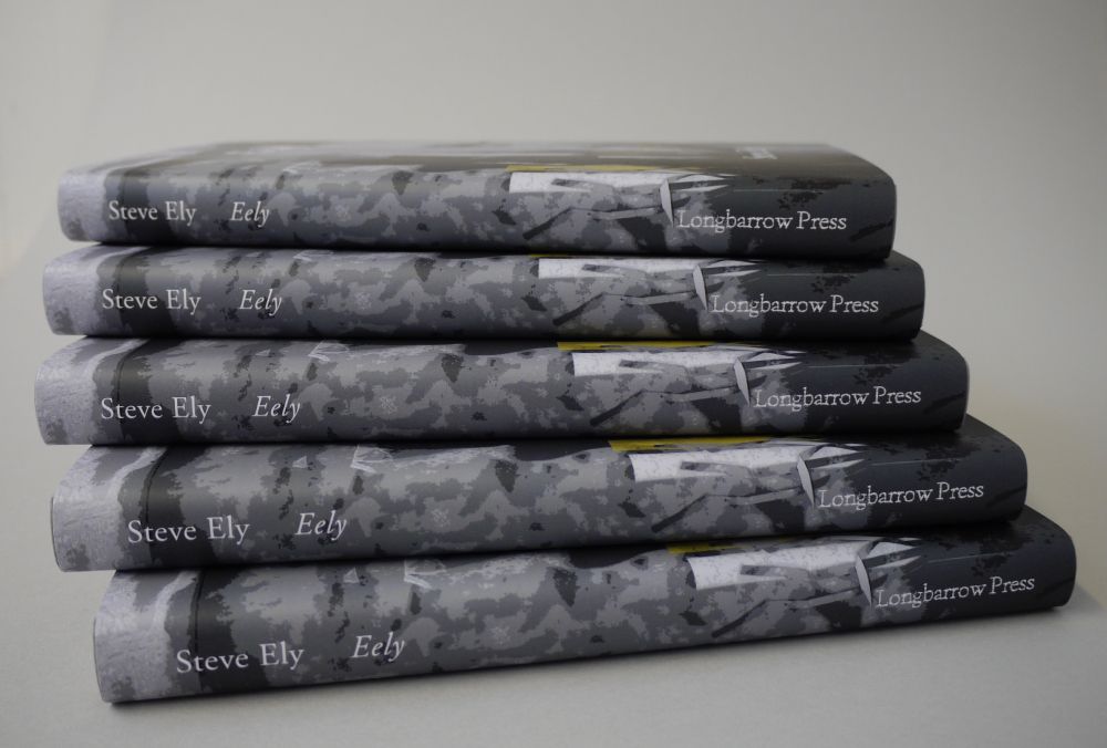 Five copies of 'Eely' by Steve Ely, spines facing outwards.