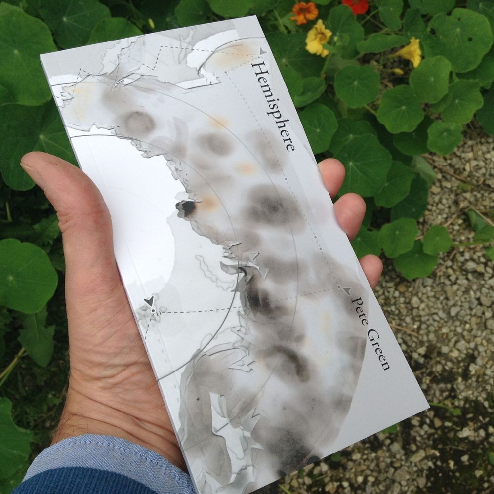 'Hemisphere', by Pete Green, held in the palm of the publisher's hand, against a backdrop of green leaves and gravel.