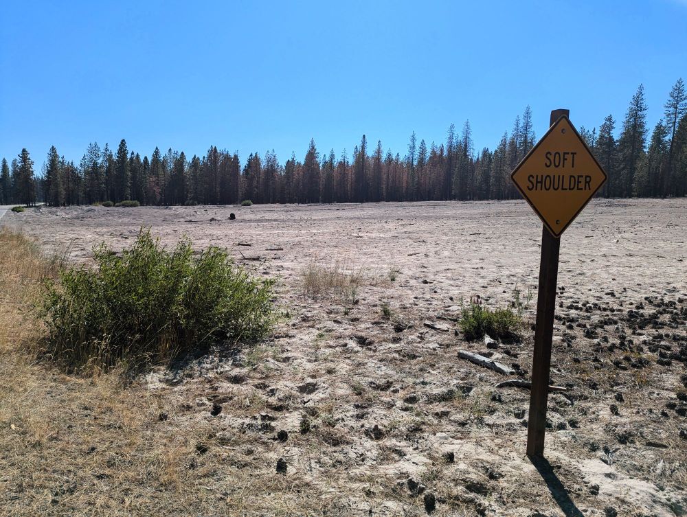 A flat sandy plain stretches out toward a barely-visible stream channel, with rows of browned and dying pine trees in the background. In the foreground, a yellow caution sign reads "soft shoulder".