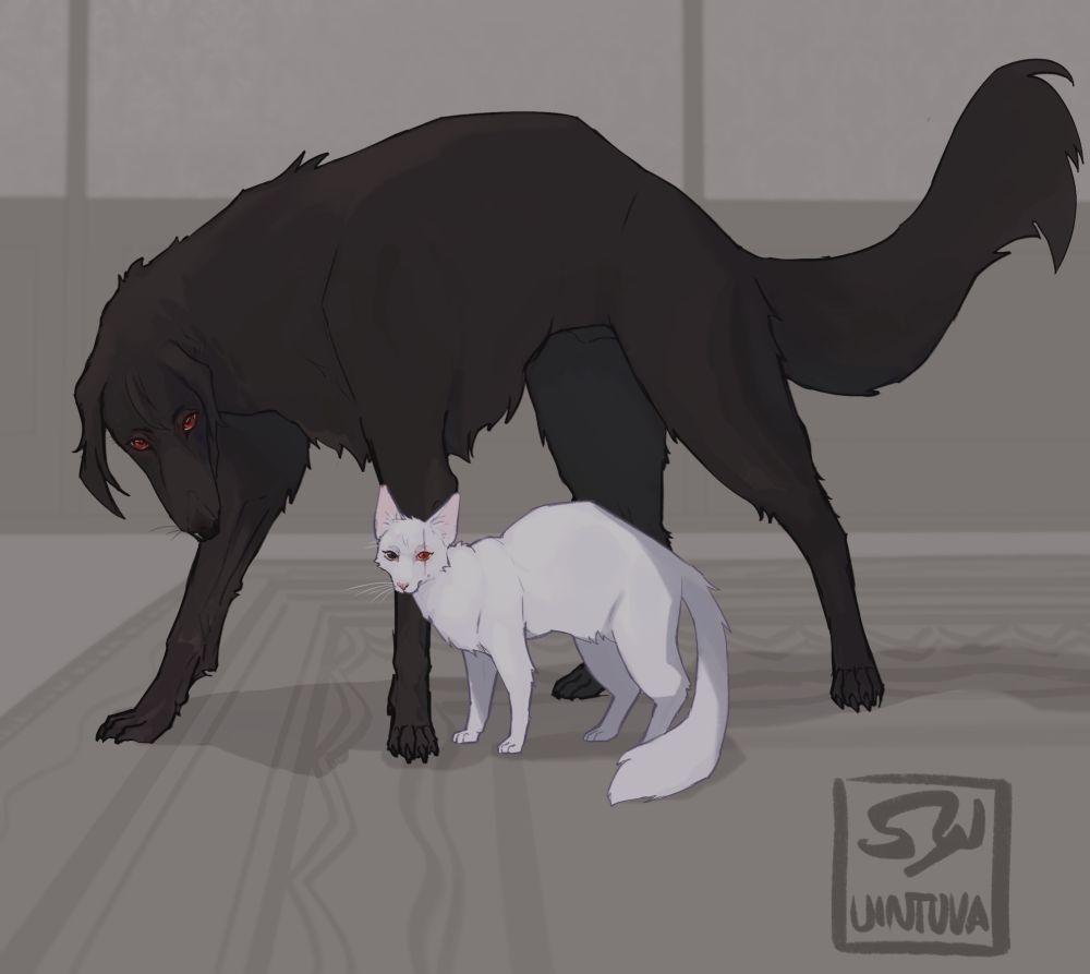 Sebastian and Kakashi as a dog and a cat indoors. Sebastian is a borzoi looming behind oriental long hair Kakashi.