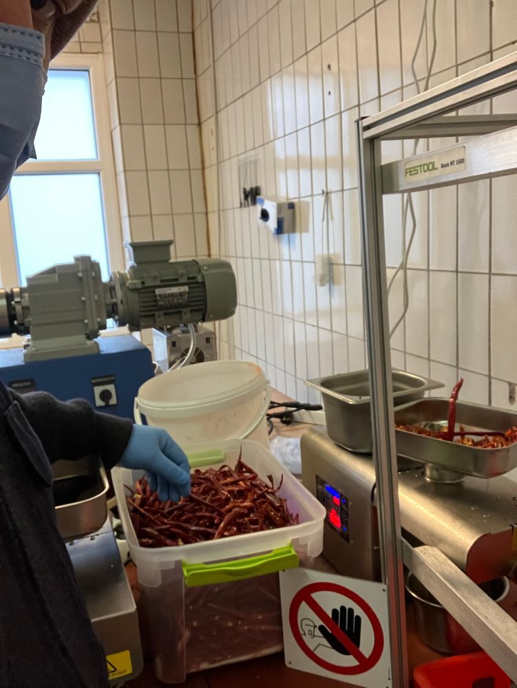 Chilli Ueleg Produktioun
