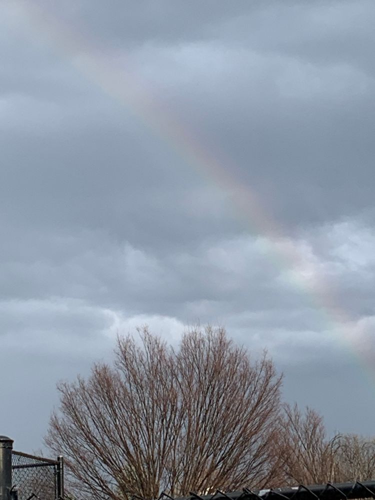 A rainbow in the sky from the top left corner to 2/3 down the right side of the photo. A tree with no leaves is in the bottom foreground.