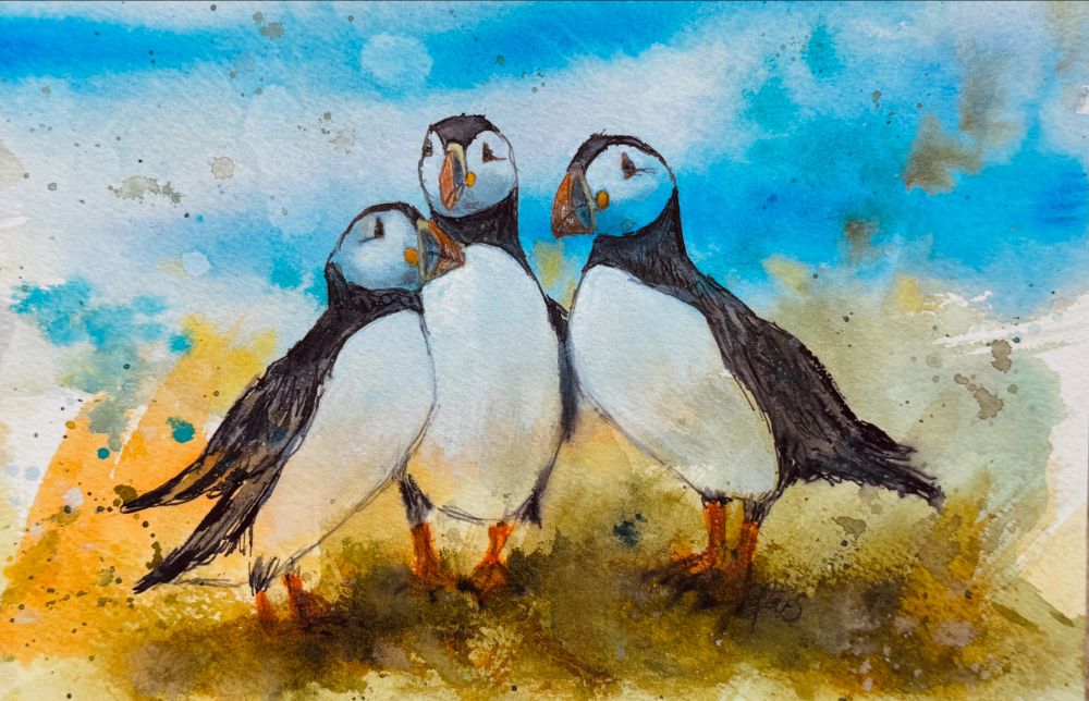 Watercolor painting of Atlantic puffins