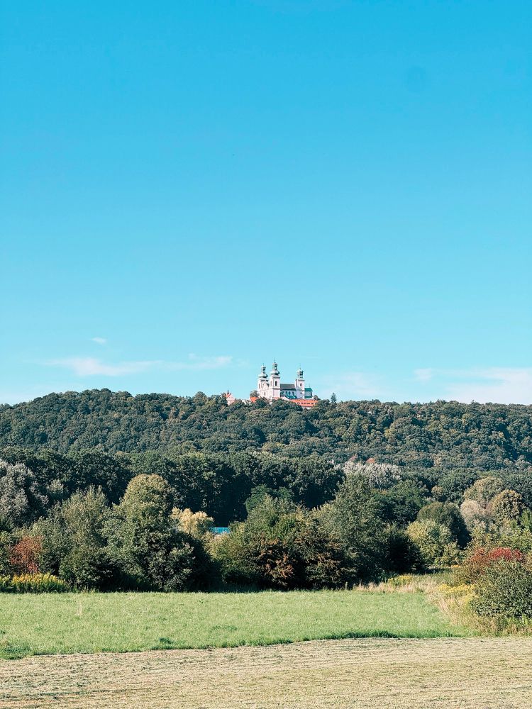 Photograph of castle perched on a hill, surrounded by trees