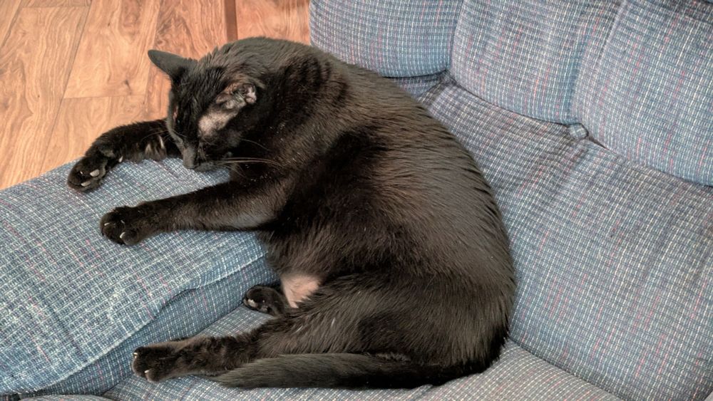 A large black cat sitting in a recliner. He's leaning against the arm with his head down, napping. 