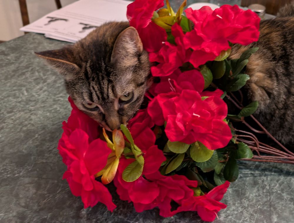 A tabby cat hiding in a bouquet of fake flowers. 