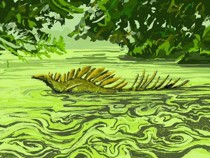 a digital illustration of an armored dinosaur wading across a shallow body of water in a forest. the water is covered in a layer of bright green algae, which is sticking to the flanks of the dinosaur and making swirling, spiraling patterns in its wake.