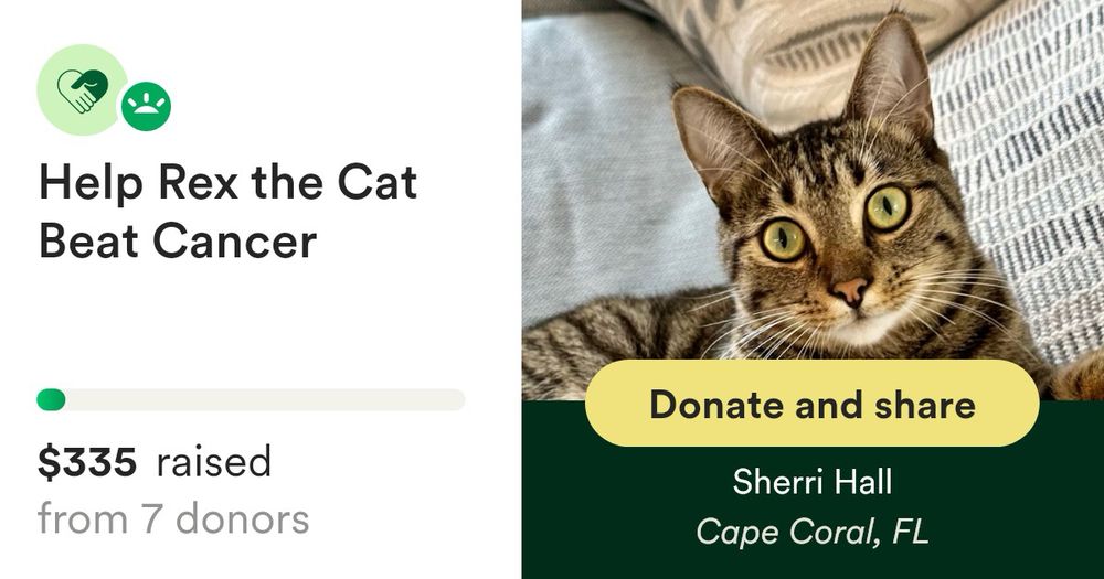 Donate to Help Rex the Cat Beat Cancer, organized by Sherri Hall