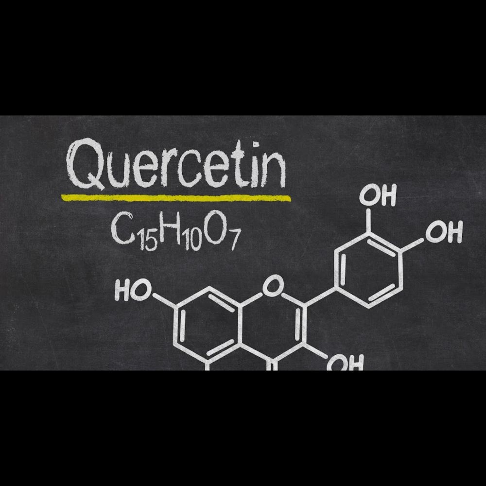 Quercetin 101: What You Need to Know (2023)