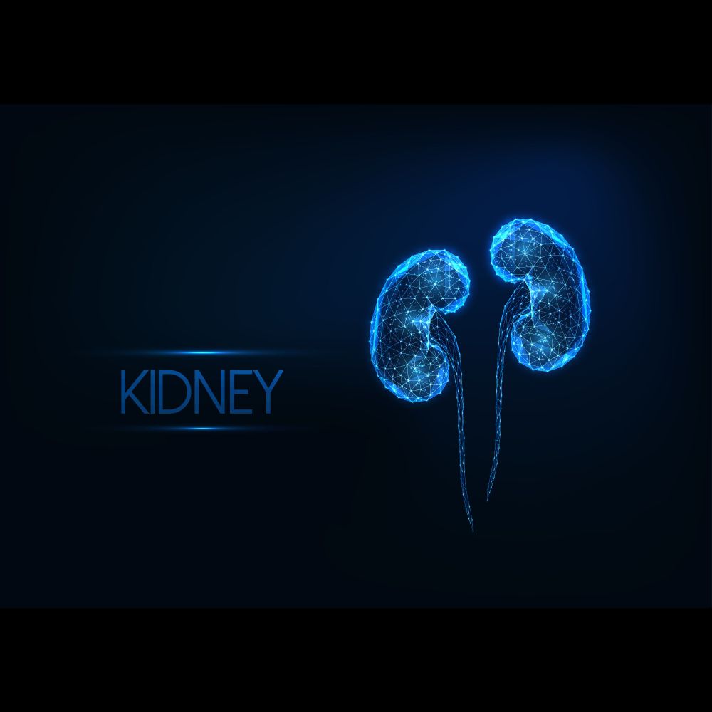 Bioengineered Human Kidney and Graft Technology Among New Innovations Highlighted at ASN Kidney Week...