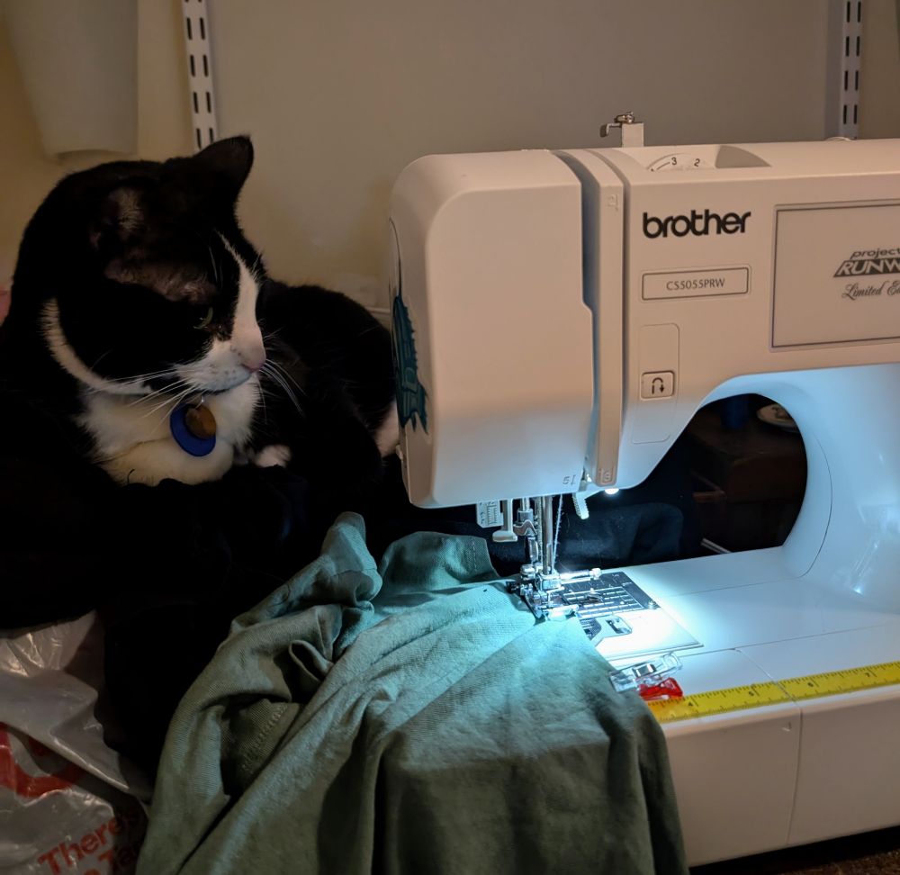 My tuxedo cat sitting on a pile of fabric to the left of the sewing machine and staring at the machine like it offended her. 