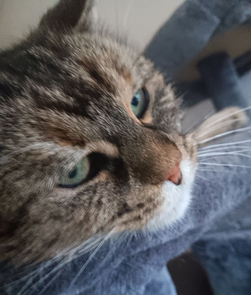 The queen on her throne