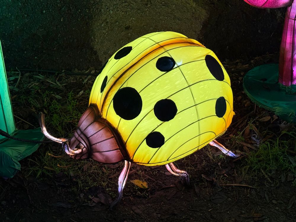 A yellow ladybug that’s glowing 