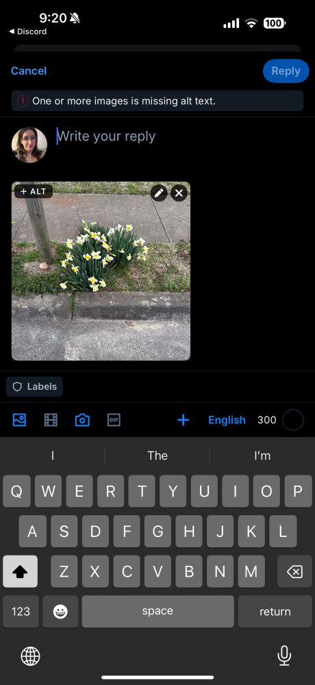 A screenshot of a new BlueSky post showing the +ALT button on the image 