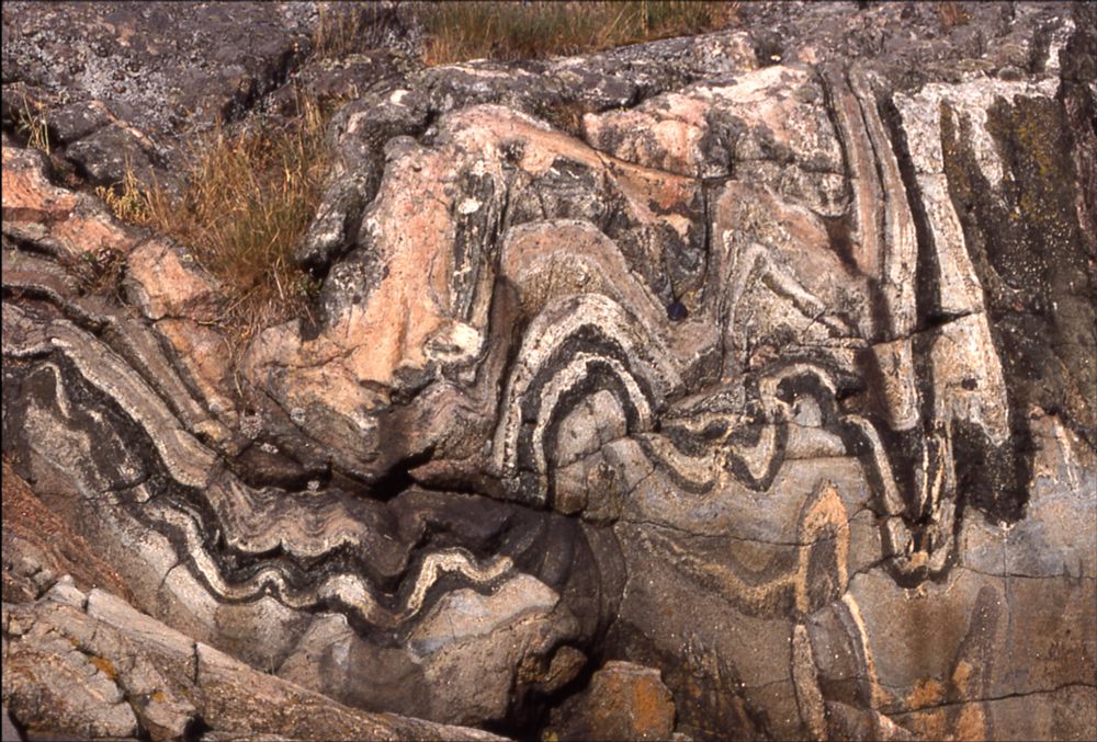 Outcrop of white, dark and light grey folded banded gneiss, about 2m high with tufts of grass at top. Shows variation of fold inter-limb angle, going from gentle on the left, through open, closed and tight, to isoclinal on the right as a shear zone is approached. Norway somewhere.