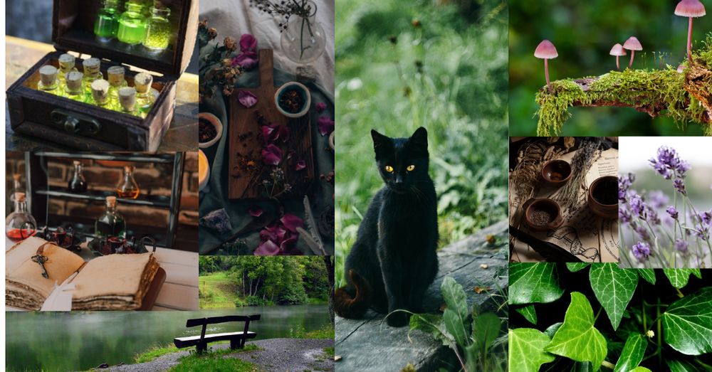A mood board highlights green images with occasional pops of purple. The photos are in a collage and include: a chest of potion vials, a spellbook and poitions, a bench in a quiet forest near water, a black cat with glowing golden eyes, purple petals on a board, lavender sprigs, a lavender field, ivy, and pink glowing mushrooms on a mossy branch.