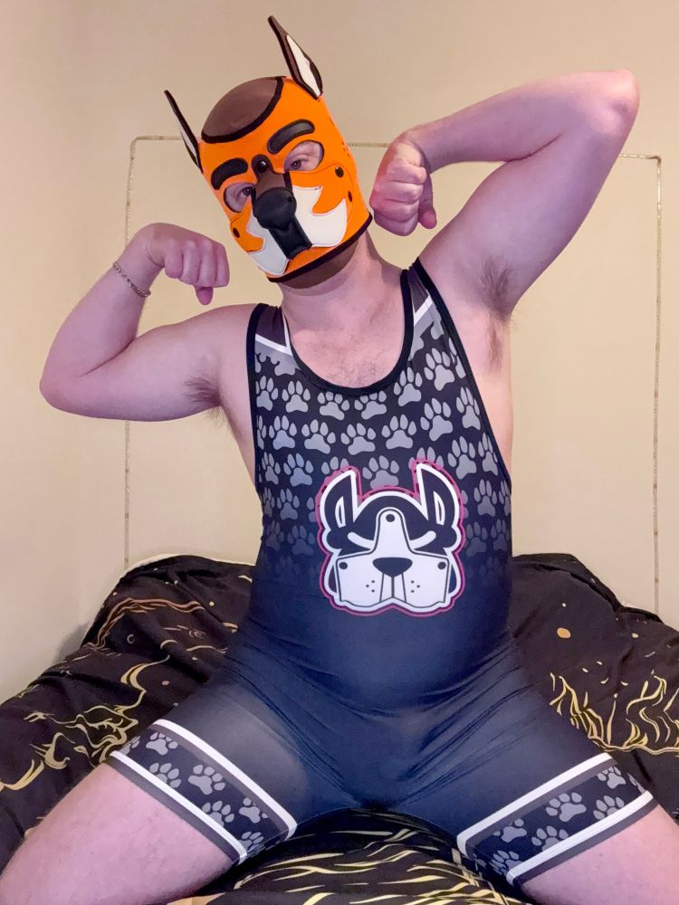 Pup flexing in his new grey puppy singlet on the bed