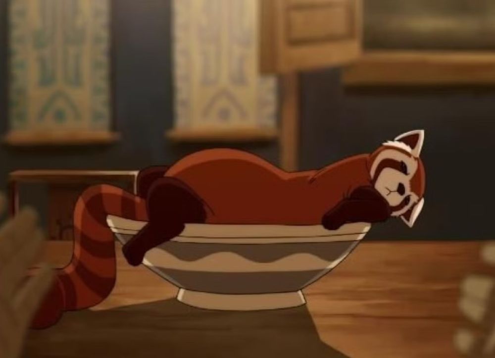 Pabu a ferret red panda mix pet from legend of Korra laying in a bowl with an extra full belly