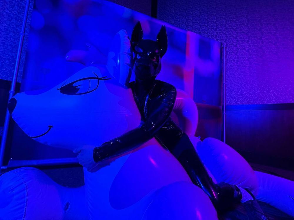 Latex wolf on a pooltoy with bright blue and purple lighting. 