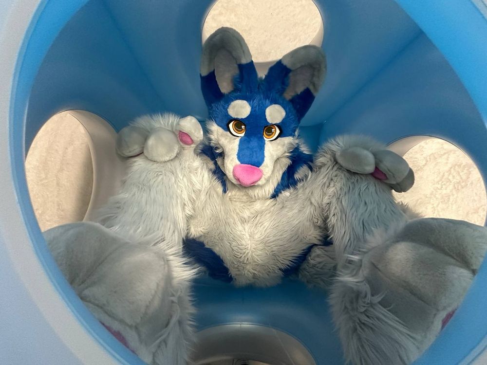 Kemski inside the ice cube pooltoy. 
