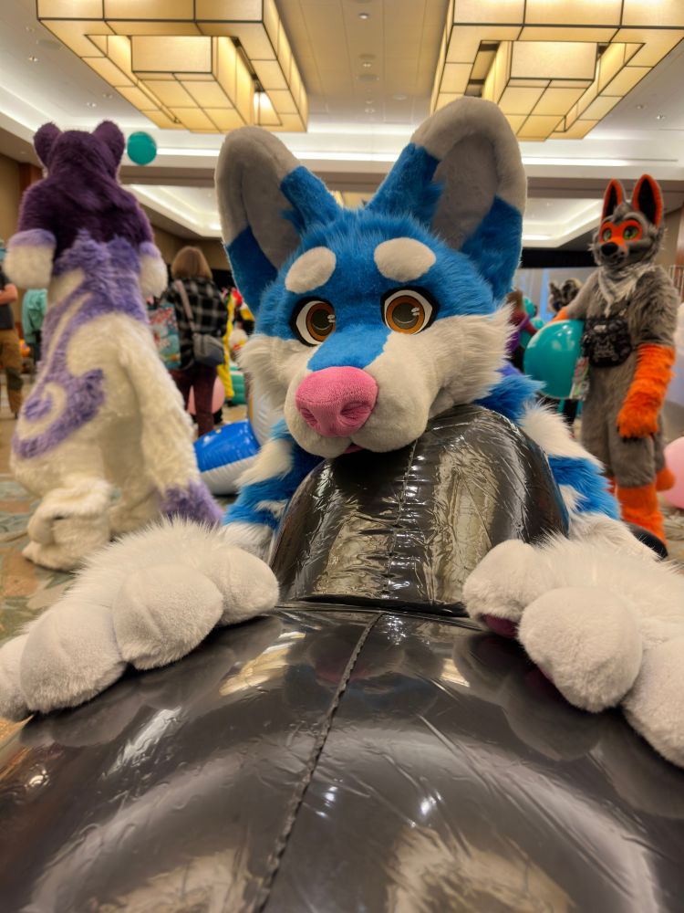 Kemski on a pooltoy looking at the camera.