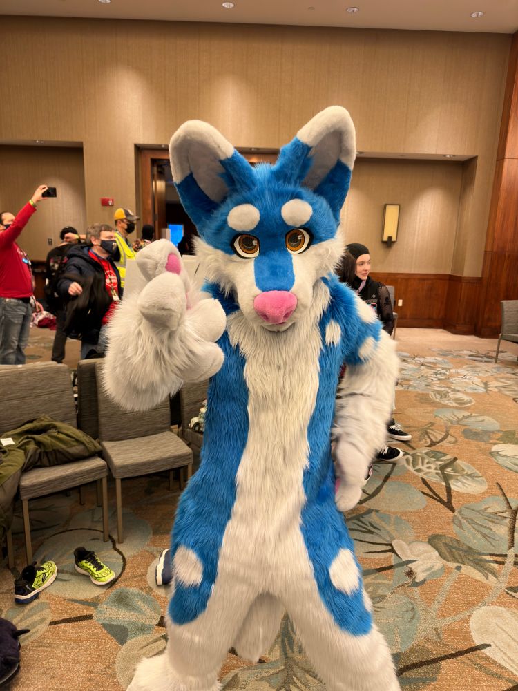 Me wearing a new blue wolf fursuit pointing at the camera.