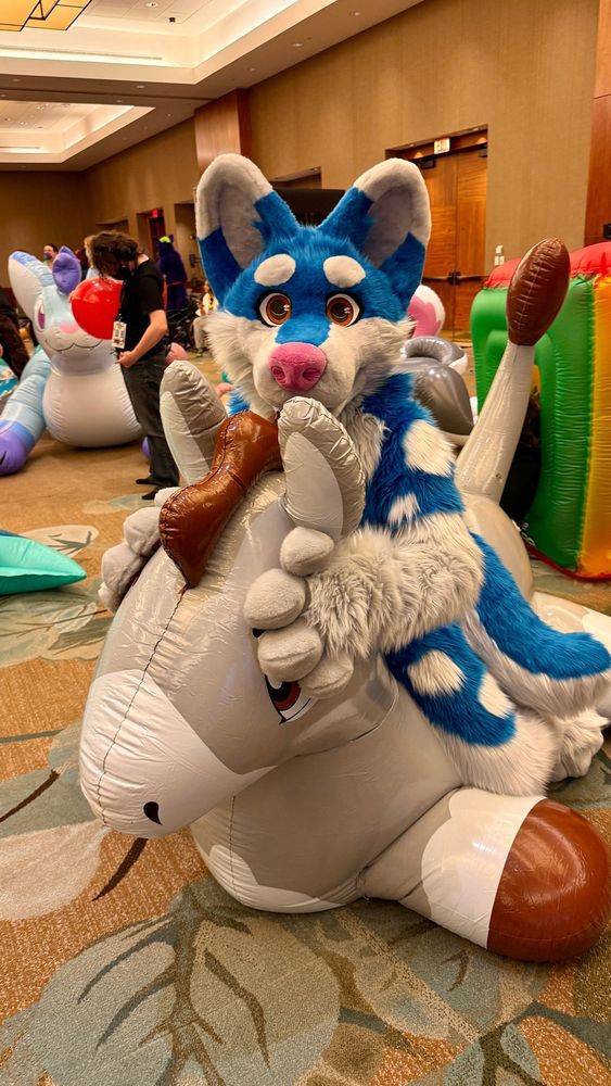 Kemski at Anthro New England on a pooltoy looking cute at the camera.
