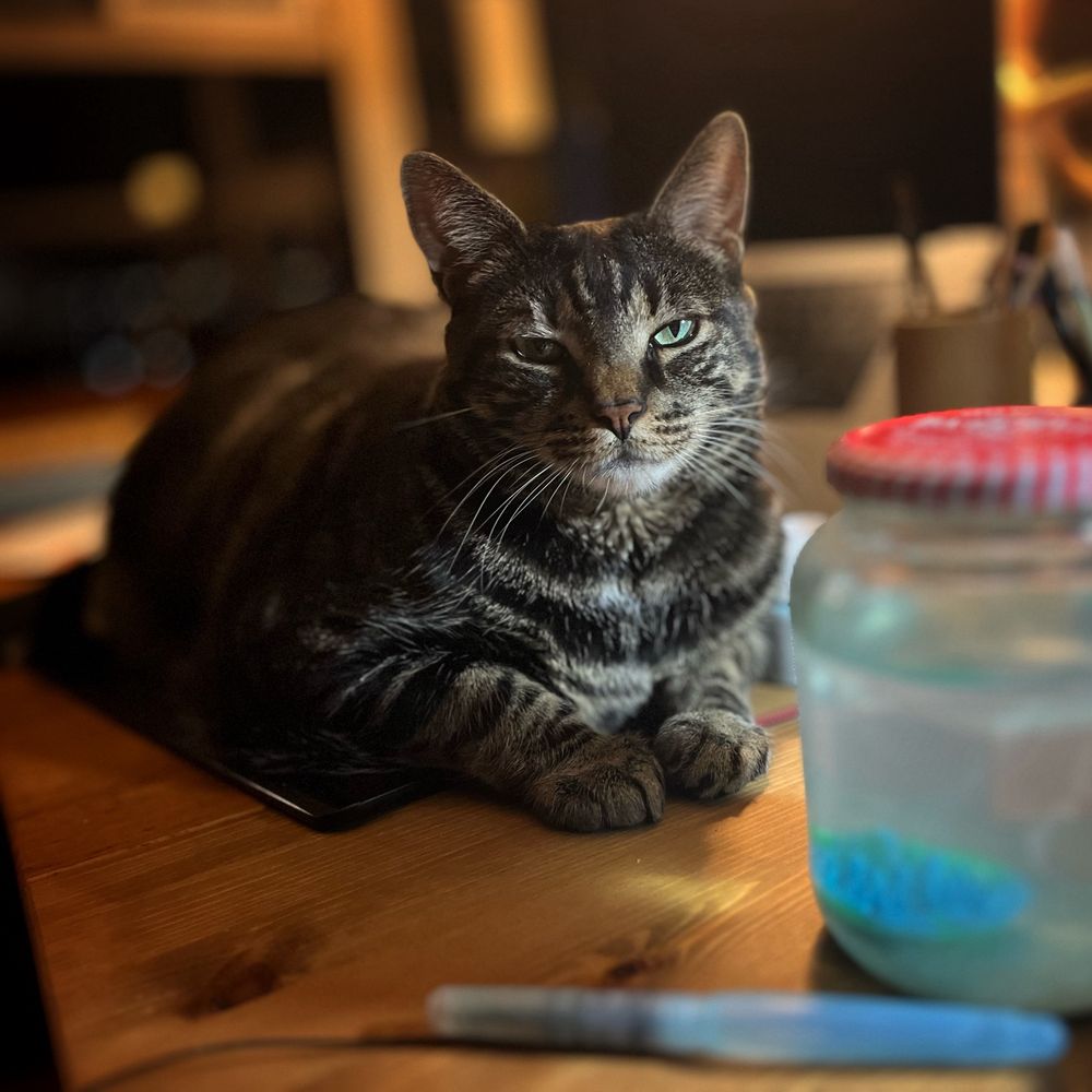 Fritz, a dark tabby, sitting on a wood table with a jar of water and a paintbrush in front of him. 