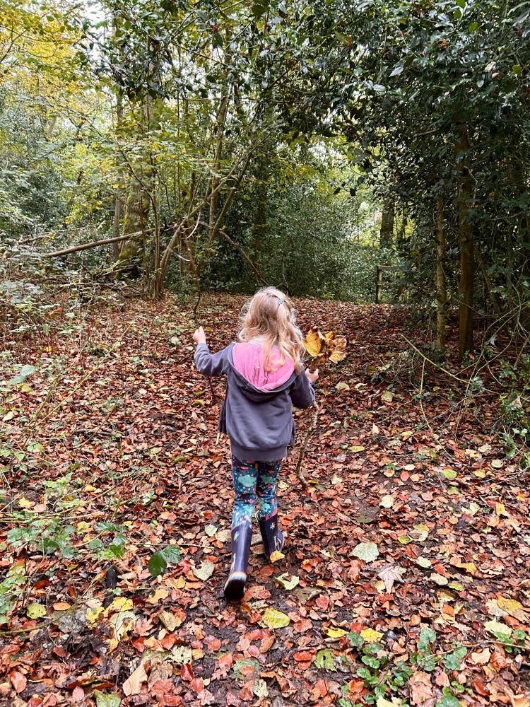 A photo of the back of a young girl skipping through a woodland. She’s got sticks and leaves and the ground is coated in gold brown leaves. 