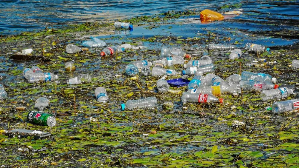 New White House Action Will Help Unravel Plastic Pollution Crisis | Opinion