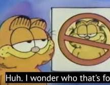 The garfield no garfield “i wonder who that’s for” meme 