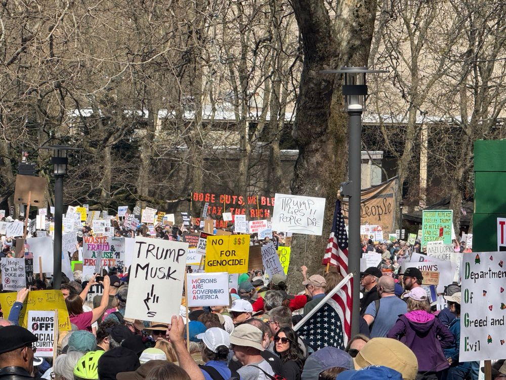 Crowd gathered at Seattle Center protesting Trump/Musk