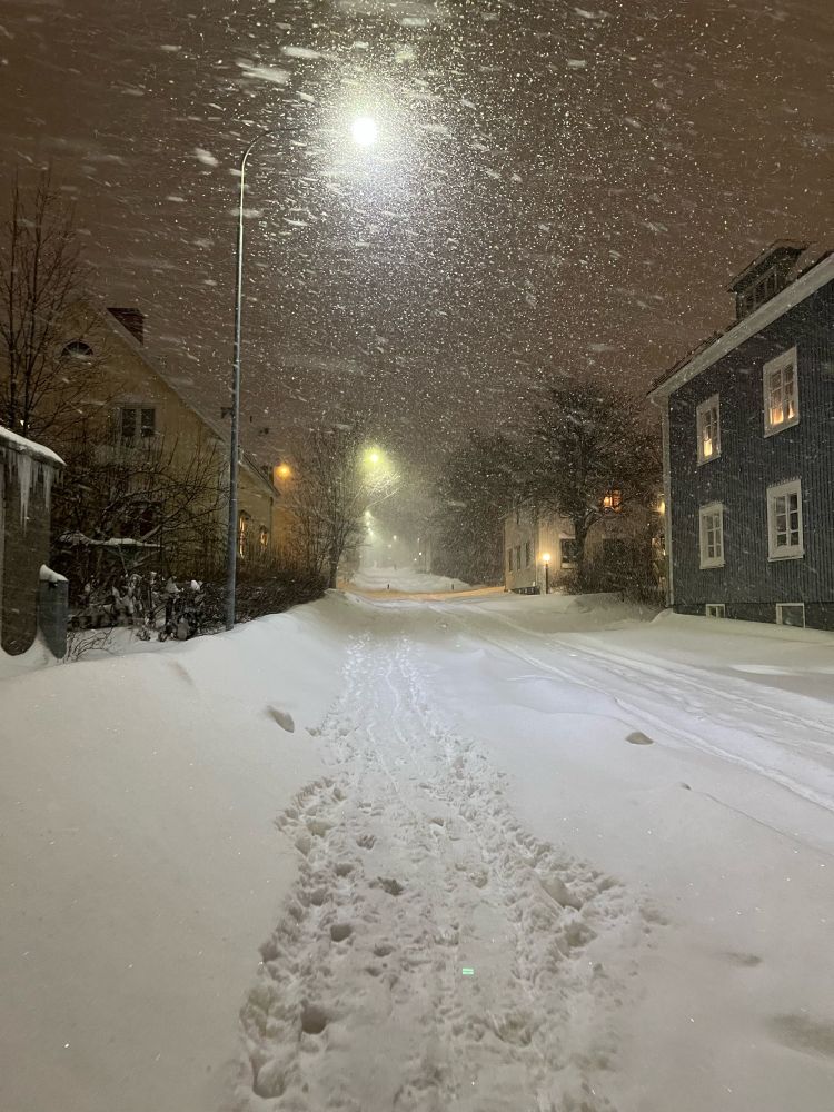 a picture of a street covered in snow. it’s dark outside and the street lights are on, so you can see all the snow in the air. 