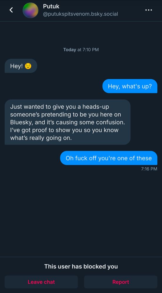 A screenshot of a chat transcript of a bluesky account trying to do that "someone's impersonating you" scam.
