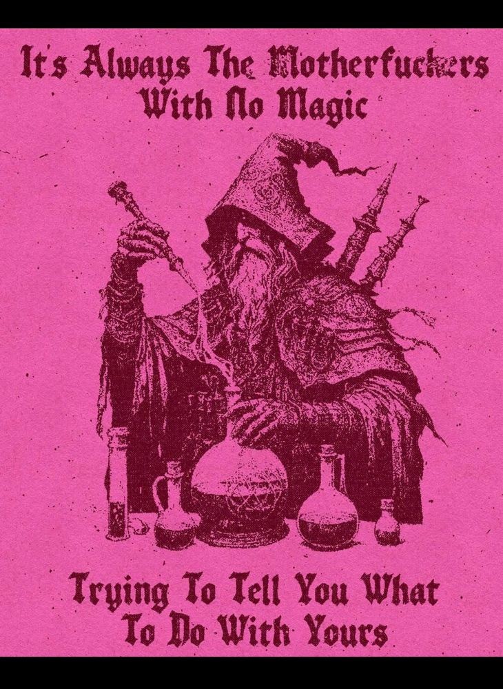 A wizard on pink background with saying “it’s always the motherfuckers with no magic trying to tell you what to do with yours.”