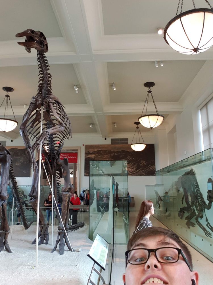 Smiling male next to a skeleton of a long neck dinosaur 
