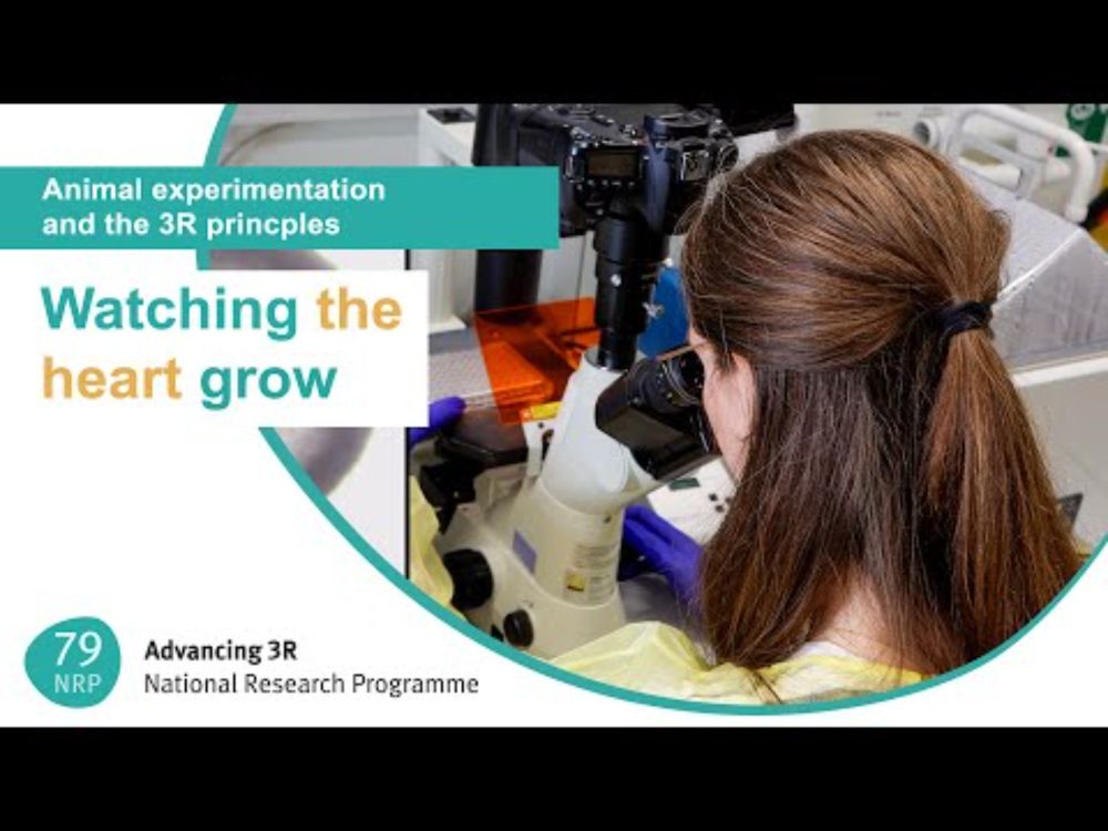 NRP 79 – Advancing 3R: Watching the heart grow - in real time!