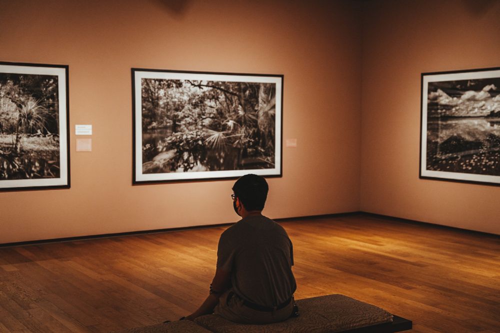 A photo taken by photographer Adam Scott at the Orlando Museum of Art. The photo shows a young man sitting on a bench looking at large prints of another photographers work. 