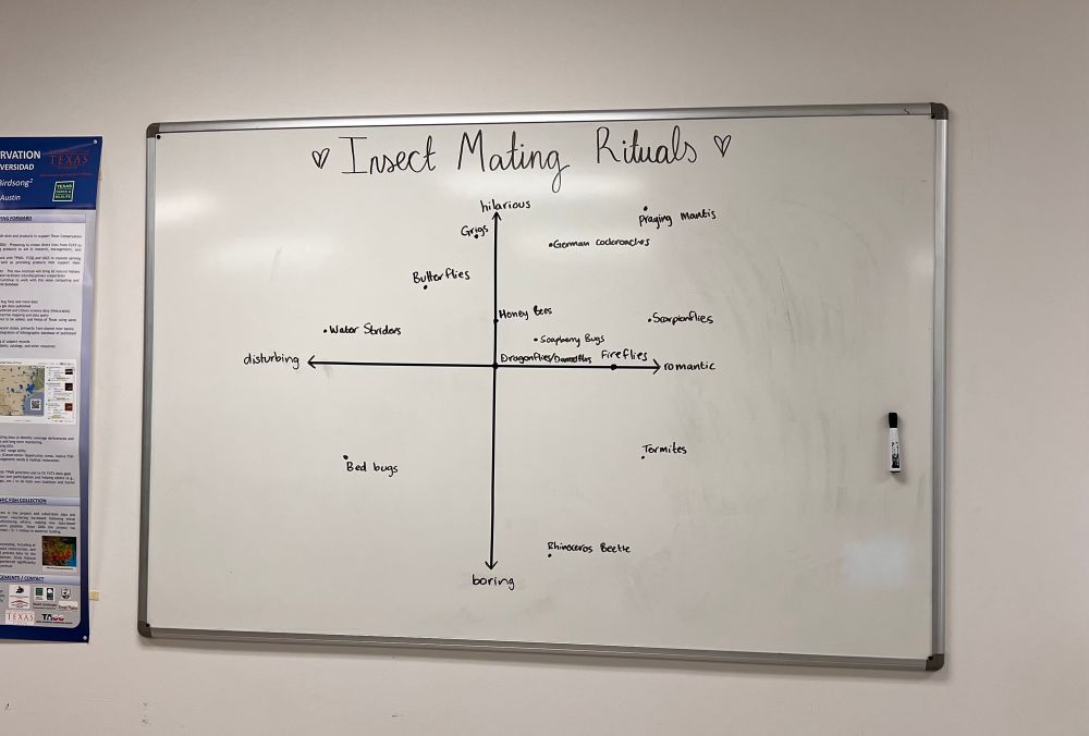 White board labeled “Insect Mating Rituals” with two axes, disturbing -> romantic and boring -> hilarious. Various insects arrayed in different parts of the graph. 