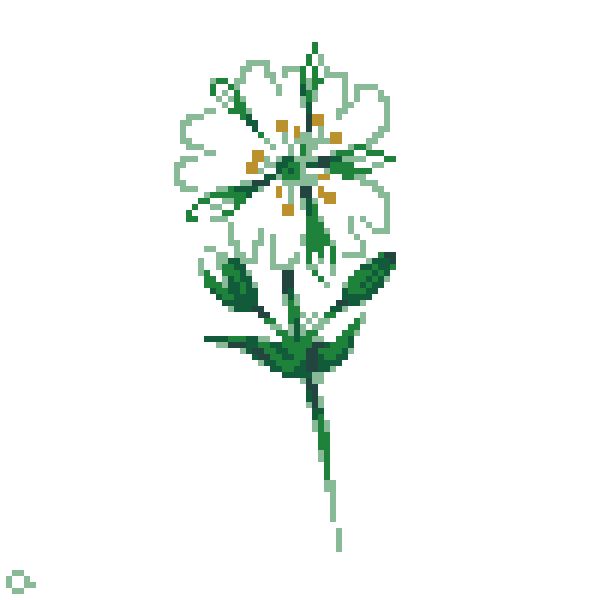 (pixel art) drawing of a common mouse-ear flower