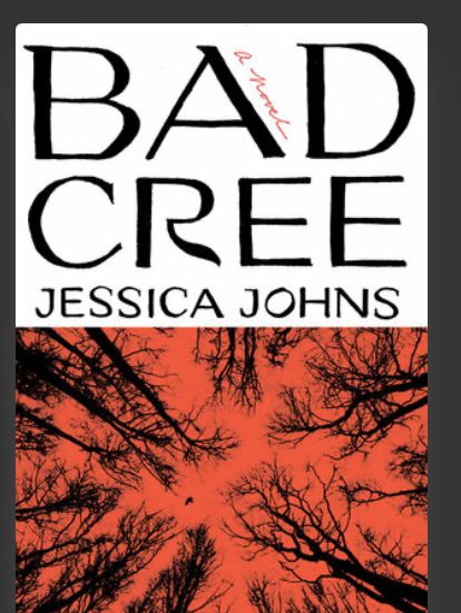Book cover. Top half has a white background with black text, the title Bad Cree and author in smaller font Jessica Johns. Photo below looking up at a dark red sky with silhouettes of leafless trees 