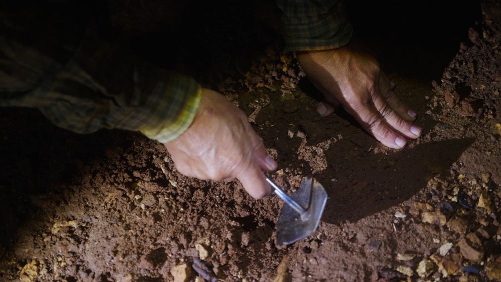 映画「『骨を掘る男』の場面写真です。