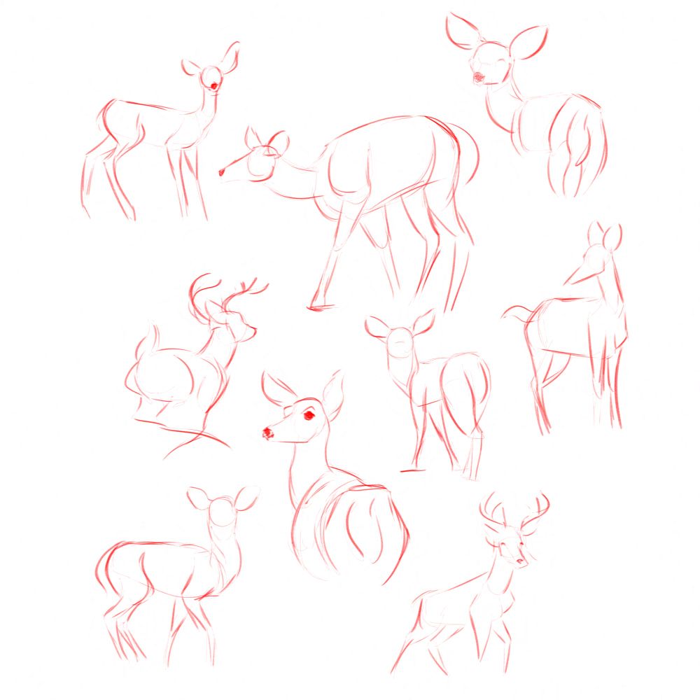 Sketches of deer.