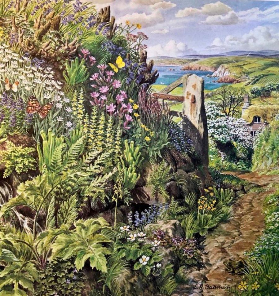 Finally detailed mixed-media illustration of a coastal path between narrow Hedges. The hedgerow is densely crowded with a wide variety of wild flowers.