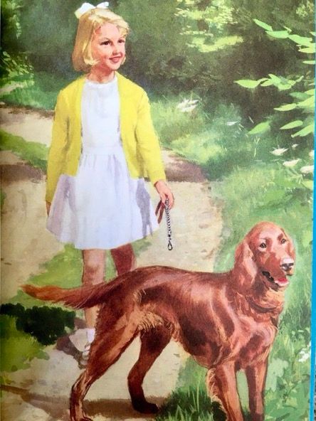 A girl aged about 8, in a white rock and cardigan, walks along a country path with her Irish setter (Pat)