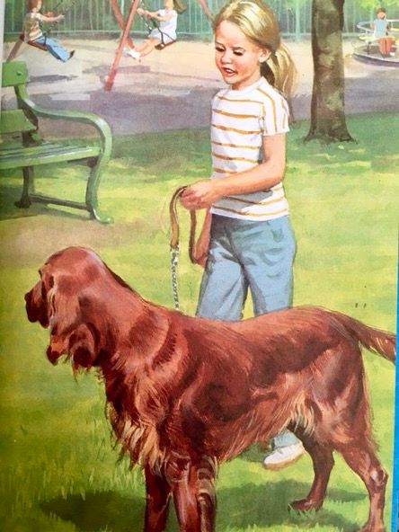 Jane, now in jeans and T-shirt and with her hair in a hasty ponytail, walks Pat in the park