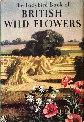 Front cover of the ladybird book which was illustrated by a husband and wife couple. Rowland produced the (often moody) backgrounds. Edith was a fine botanical artist and painted the flower studies