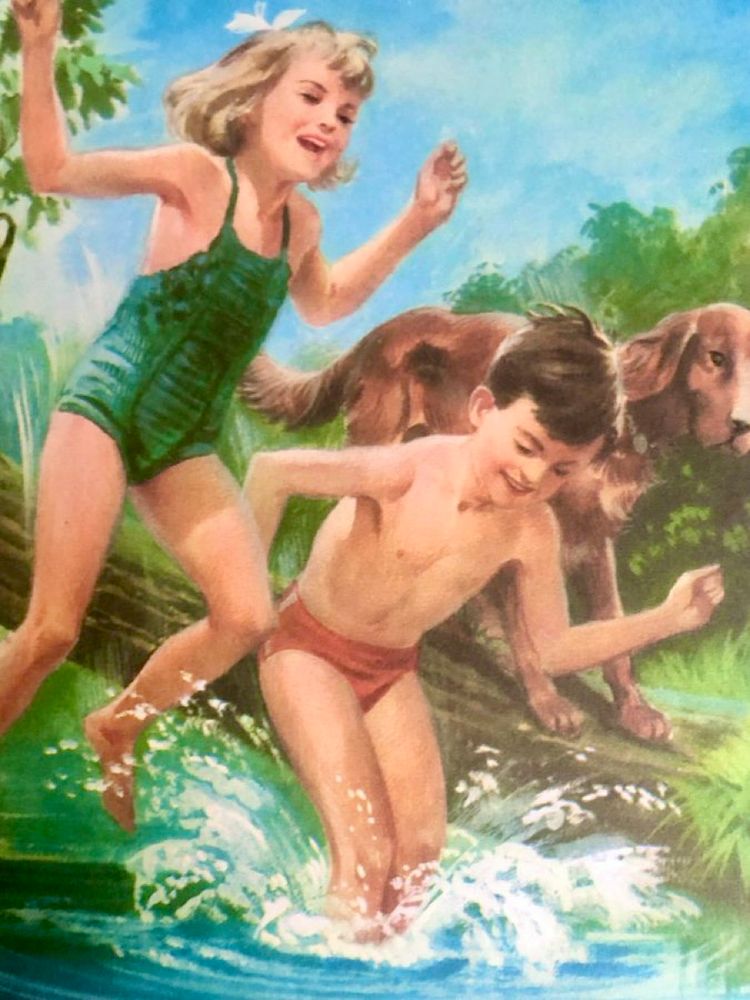 The front cover illustration of book 2a in the Peter and Jane Reading scheme series of the 1960s. The picture shows Peter, Jane and Pat the dog splashing in a river.